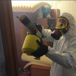 Уничтожение клопов в квартире. Ухта